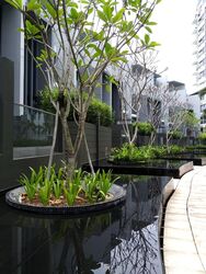 Miltonia Close (D27), Terrace #503515581